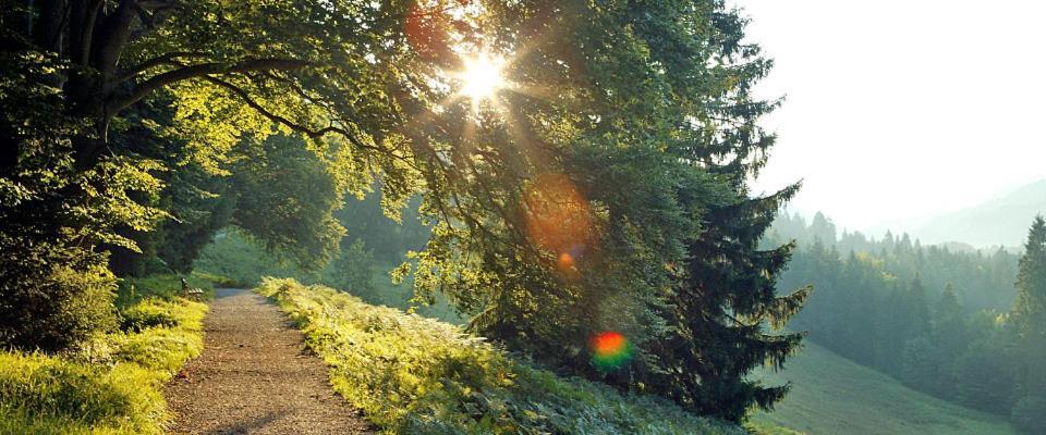 Landgasthof Kirchmayer Farchant Luaran gambar
