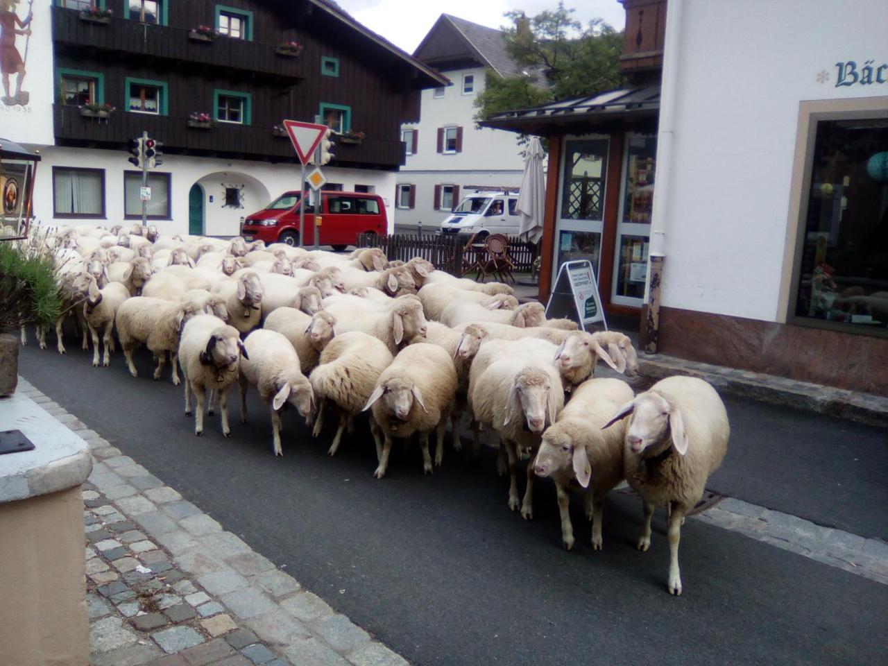 Landgasthof Kirchmayer Farchant Luaran gambar